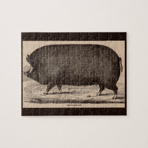 Farm Animal Printing Berkshire aus dem 19. Jahrhun