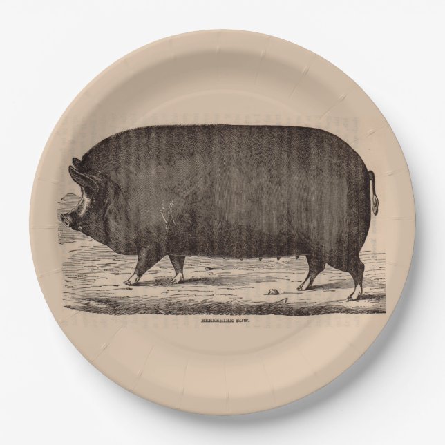 Farm Animal Printing Berkshire aus dem 19. Jahrhun Pappteller (Vorderseite)