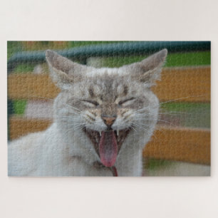 Farm Cat Puzzle