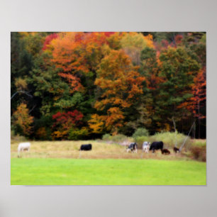 Farm Fall Blätter Kühe in Field Orton Art Poster