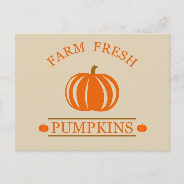 Farm fresh pumpkins feiertagspostkarte (Vorderseite)