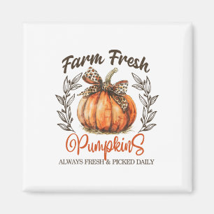Farm Frische Kürbisse Kokette Schleife Herbst Dank Magnet