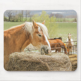 Farm Horse Munching on Some Hay Mousepad