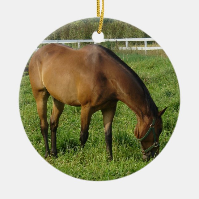 Farm Horse Ornament (Vorne)