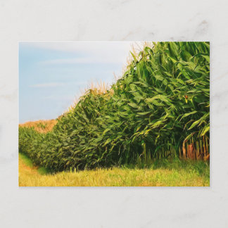 Farm Life USA Corn Crop Postcard Postkarte