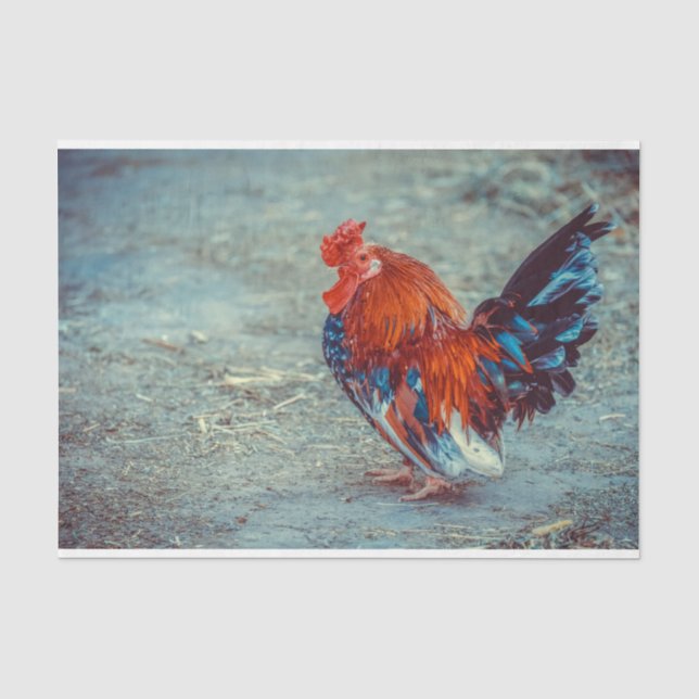 Farm Roster farbiges Dekoupage Tissue Paper Seidenpapier (Vorderseite)