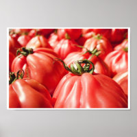 Farmer Markt Red Tomato Fotografie Küche