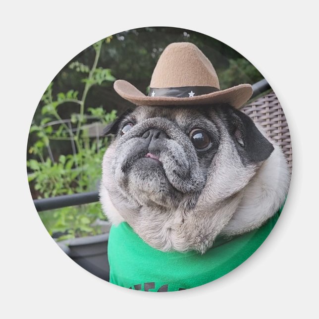 Farmer Pickles Magnet (Vorne)