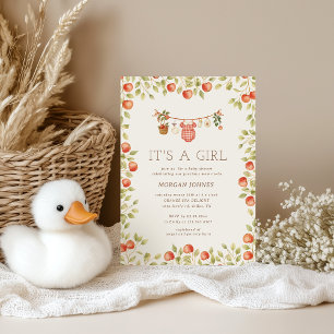 Farmhouse-Baby-Wäscheleine Baby Shower Einladung