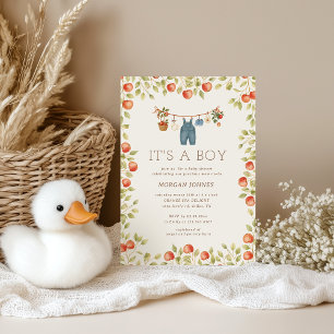 Farmhouse-Baby-Wäscheleine Baby Shower Einladung