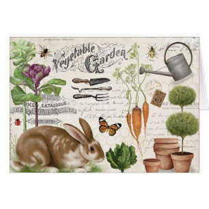 Farmhouse Jardin Vintage moderne Rabbit