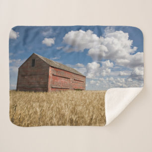 Farms Old Red Barn in Wheat Field Sherpadecke