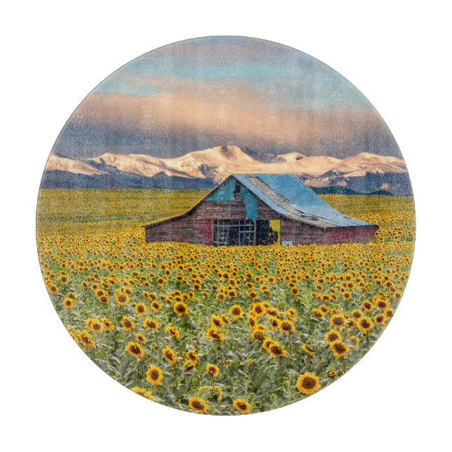 Farms Sunflower Field Schneidebrett (Vorderseite)