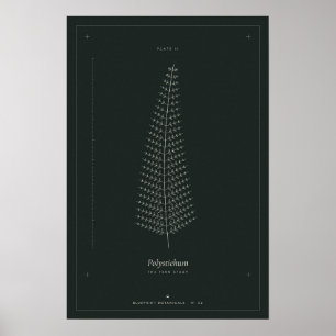 Farn Botanische Linienzeichnung Poster, Dark Acade Poster
