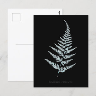 Farn - Gymnogramma L'herminieri. Röntgen-Effekt – Postkarte