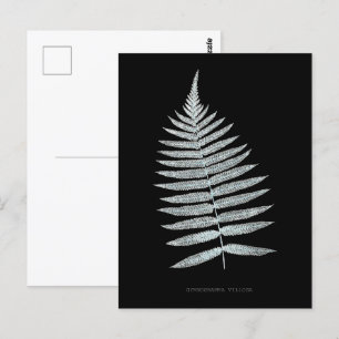 Farn - Gymnogramma Villosa - Röntgen-Effekt - 06 Postkarte