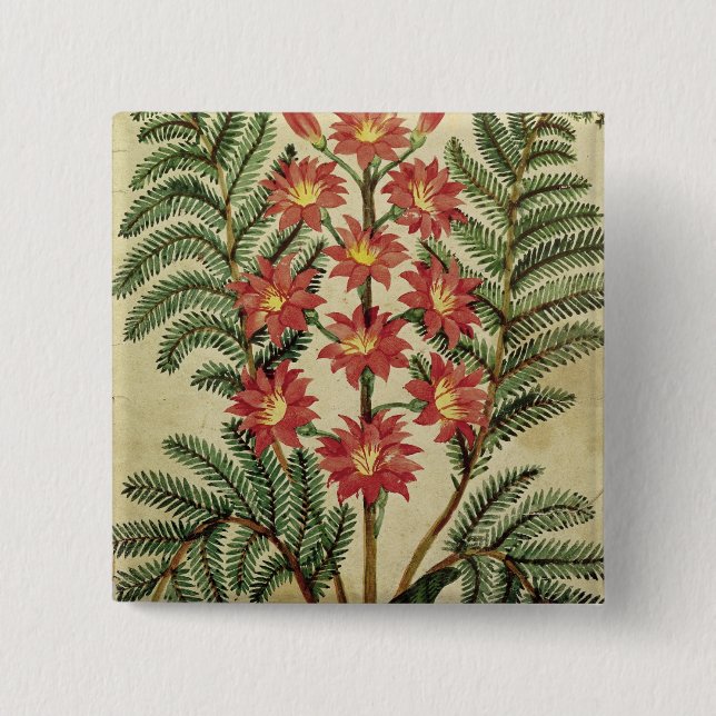 Farn mit den roten und gelben Blumen Button (Vorderseite)