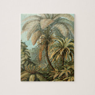 Farn Palmenbaum Antik Botanisch Farn Kunst