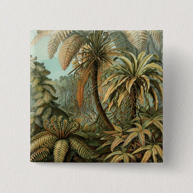 Farn Palmenbaum Antik Botanisch Farn Kunst Button (Vorderseite)