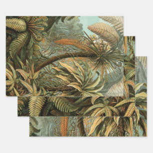 Farn Palmenbaum Antik Botanisch Farn Kunst Geschenkpapier Set