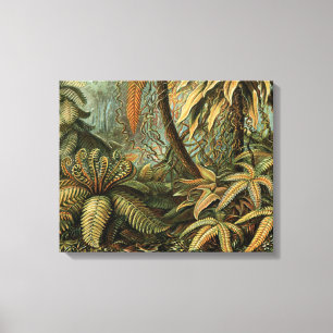 Farn Palmenbaum Antik Botanisch Farn Kunst Leinwanddruck