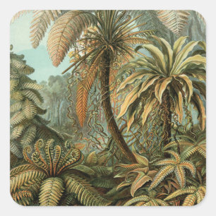 Farn Palmenbaum Antik Botanisch Farn Kunst Quadratischer Aufkleber