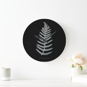 Farn - Polypodyum Vulgare - Röntgen-Effekt - 09 Große Wanduhr