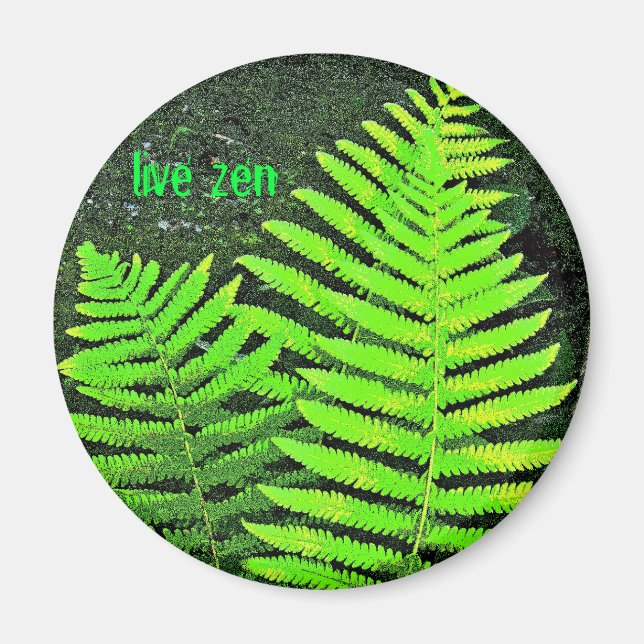 Farn-Zen-Magnet Magnet (Vorne)