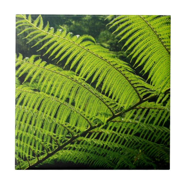 Farnblatt Fliese (Vorderseite)