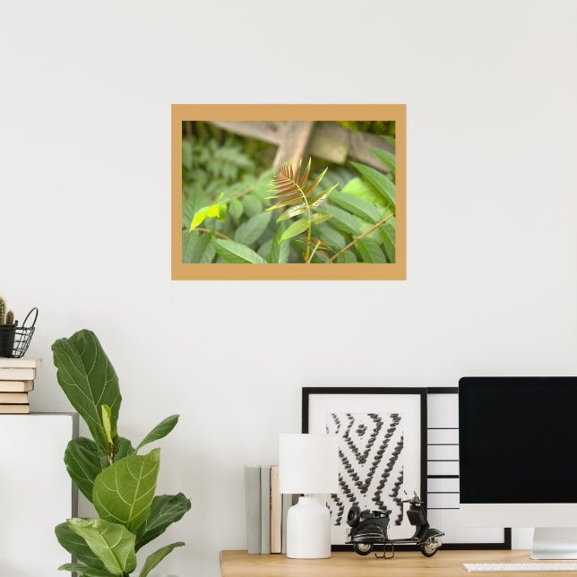 Farnblätter Foto Poster (Heimbüro)