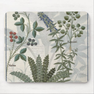 Farne, Brombeersträucher und Blumen Mousepad