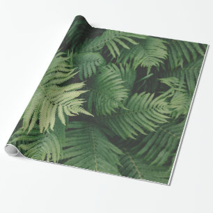 Farne im coolen grünen Schatten Geschenkpapier