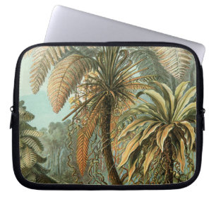 Farne Palmenbaum Antike Botanische Farne Kunst Laptopschutzhülle