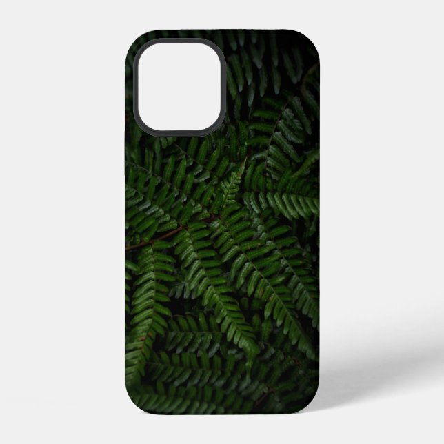Farnpflanze iPhone 12 Hülle (Rückseite)