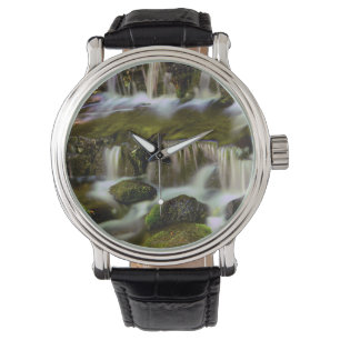 Farnquelle, Yosemite-Nationalpark, Kalifornien Armbanduhr