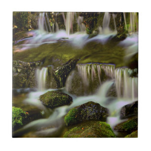 Farnquelle, Yosemite-Nationalpark, Kalifornien Fliese