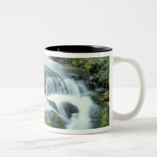 Farnquelle, Yosemite-Nationalpark Zweifarbige Tasse