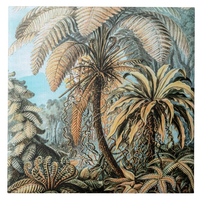 Farns alte Pflanzen von Ernst Haeckel Fliese (Vorderseite)