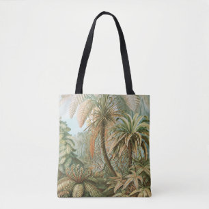 Farnsamen, Filicinae Laubfarne von Ernst Haeckel Tasche