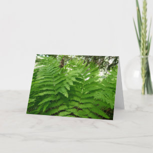 Farnwedel IV Grün Botanik Natur Karte