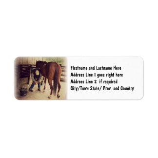 Farrier - Schönes Foto Hoof Trim
