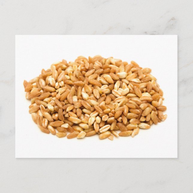Farro Postkarte (Vorderseite)