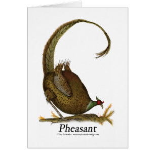 Fasan, tony fernandes