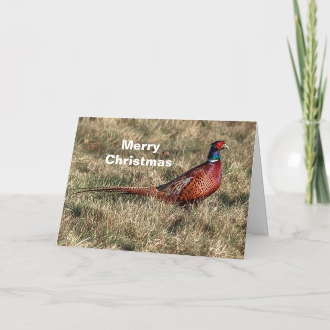 Fasan-Weihnachten Feiertagskarte (Vorderseite)
