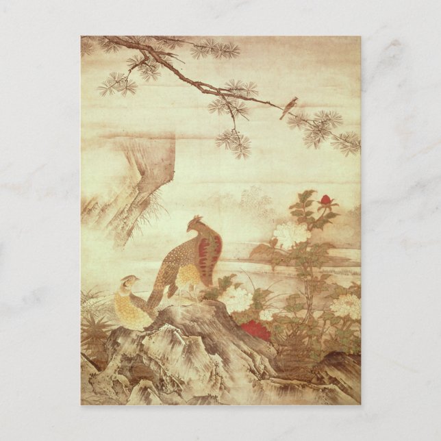 Fasane und Pfennigfuchsen, aus einer Reihe von Rol Postkarte (Vorderseite)