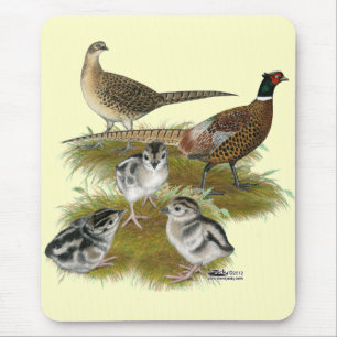 Fasanenfamilie mit Halsband Mousepad