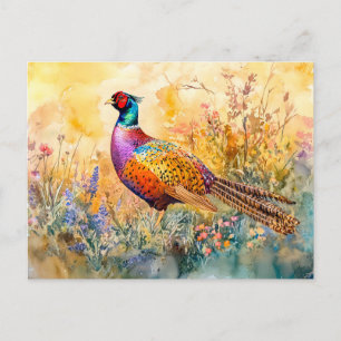 Fasant auf einer Wiesenfarbe Postkarte