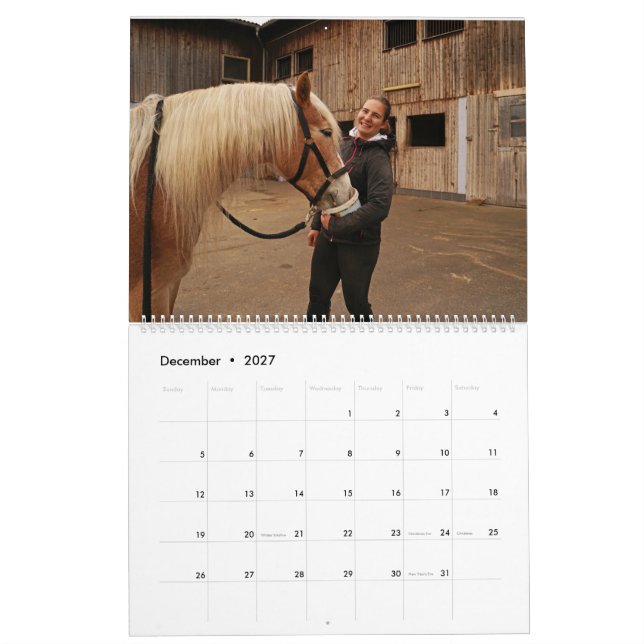 Fascination Haflinger Kalender (Dez 2027)