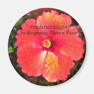 Faser Annahme Magnet