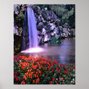 Fasse à eau colorée avec poster fleurs